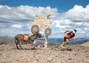 Local racer Marvin Sandoval urges Buttercup to loop around the Mosquito Pass sign during the Leadville Burro Race on Aug. 7, 2022 (Hugh Carey)